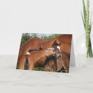 Bob Langrish Twee Ierse sportwedstrijden Kaart