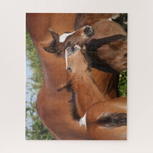 Bob Langrish | Twee Ierse sportwedstrijden Legpuzzel (Verticaal)