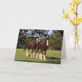 Bob Langrish | Twee jonge Shire Horse Youngsters Kaart (Gele Bloem)