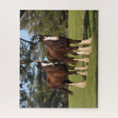 Bob Langrish | Twee jonge Shire Horse Youngsters Legpuzzel (Verticaal)