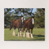 Bob Langrish | Twee jonge Shire Horse Youngsters Legpuzzel (Horizontaal)