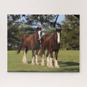 Bob Langrish Twee jonge Shire Horse Youngsters Legpuzzel