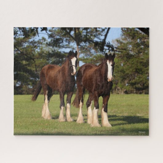 Bob Langrish | Twee jonge Shire Horse Youngsters Legpuzzel (Horizontaal)