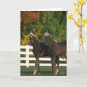 Bob Langrish | Twee kakkelende bergflesjes Kaart (Gele Bloem)