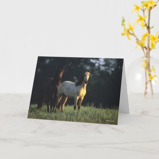 Bob Langrish | Twee Kiger Mustangs Permanent Kaart (Gele Bloem)