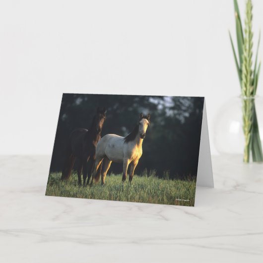 Bob Langrish | Twee Kiger Mustangs Permanent Kaart (Voorkant)