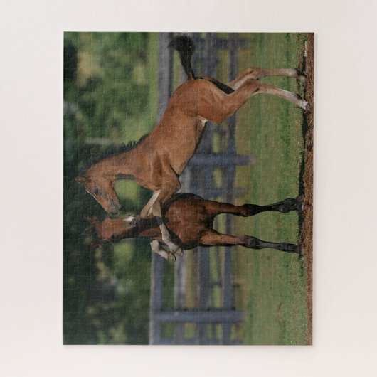 Bob Langrish | Twee Morgan Foals Play Legpuzzel (Verticaal)