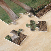 Bob Langrish | Twee Morgan Foals Play Legpuzzel (Zijkant)