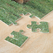 Bob Langrish | Twee Morgan Horse Foals Pspelen Legpuzzel (Zijkant)