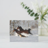 Bob Langrish | Twee Morgan Horses en Dog in sneeuw Briefkaart (Staand voorkant)