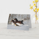 Bob Langrish | Twee Morgan Horses en Dog in sneeuw Kaart (Gele Bloem)