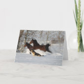 Bob Langrish | Twee Morgan Horses en Dog in sneeuw Kaart (Voorkant)