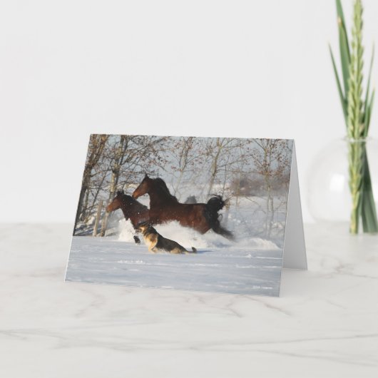 Bob Langrish | Twee Morgan Horses en Dog in sneeuw Kaart (Voorkant)
