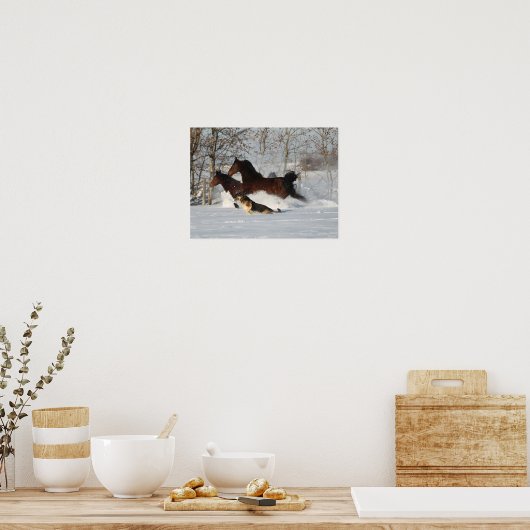 Bob Langrish | Twee Morgan Horses en Dog in sneeuw Poster (Keuken)