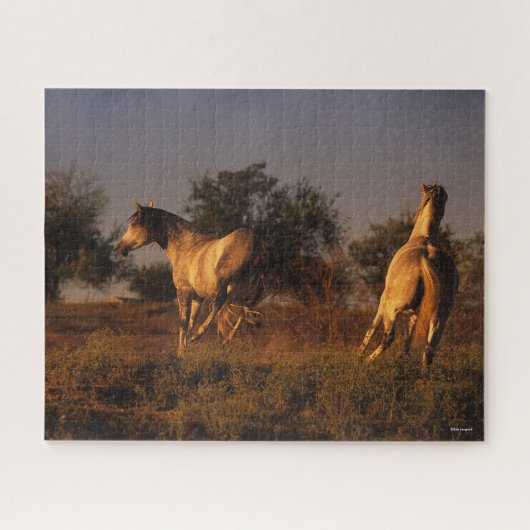Bob Langrish | Twee paarden die op zonsondergang r Legpuzzel (Horizontaal)