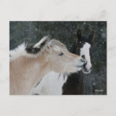 Bob Langrish | Twee pony's die elkaar ontmoeten op Briefkaart (Voorkant)