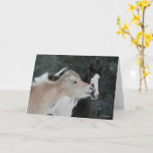 Bob Langrish | Twee pony's die elkaar ontmoeten op Kaart (Gele Bloem)