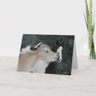 Bob Langrish   Twee pony's die elkaar ontmoeten op Kaart