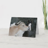 Bob Langrish | Twee pony's die elkaar ontmoeten op Kaart (Voorkant)