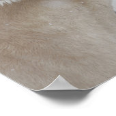 Bob Langrish | Twee pony's die elkaar ontmoeten op Poster (Hoek)