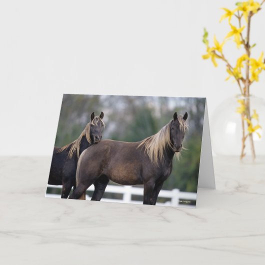 Bob Langrish | Twee Rocky Mountain-paarden Kaart (Gele Bloem)