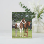 Bob Langrish | Twee staande sportkalveren Briefkaart (Staand voorkant)