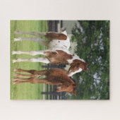 Bob Langrish | Twee staande sportkalveren Legpuzzel (Horizontaal)