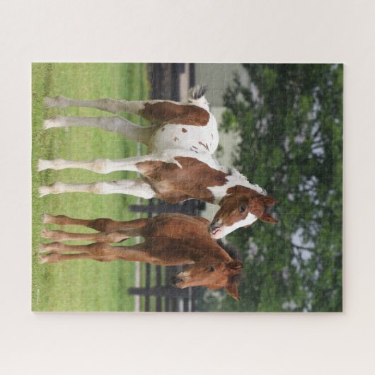 Bob Langrish | Twee staande sportkalveren Legpuzzel (Horizontaal)