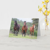 Bob Langrish | Twee uitschot met schimmel Kaart (Gele Bloem)