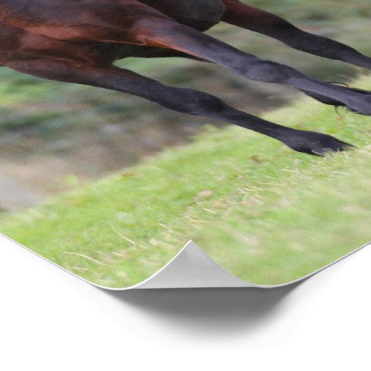 Bob Langrish | Twee uitschot met schimmel Poster (Hoek)