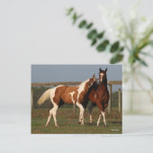 Bob Langrish | Twee verfpaarden die samen spelen Briefkaart (Staand voorkant)