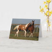 Bob Langrish | Twee verfpaarden die samen spelen Kaart (Gele Bloem)