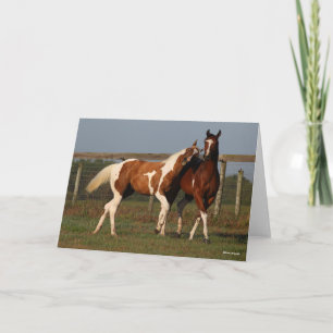 Bob Langrish Twee verfpaarden die samen spelen Kaart