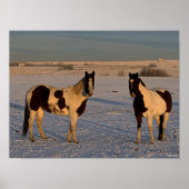 Bob Langrish | Twee verfpaarden in de sneeuw Poster (Voorkant)