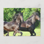 Bob Langrish | Twee vrienden die samenwerken Briefkaart (Voorkant)