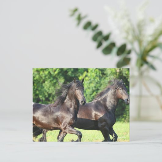 Bob Langrish | Twee vrienden die samenwerken Briefkaart (Staand voorkant)