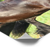 Bob Langrish | Twee vrienden die samenwerken Poster (Hoek)