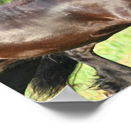 Bob Langrish | Twee vrienden die samenwerken Poster (Hoek)