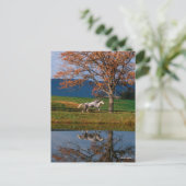 Bob Langrish | Twee warmbloedige pannen van het me Briefkaart (Staand voorkant)