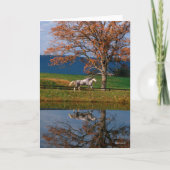 Bob Langrish | Twee warmbloedige pannen van het me Kaart (Voorkant)