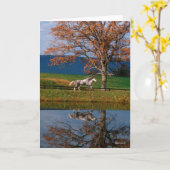 Bob Langrish | Twee warmbloedige pannen van het me Kaart (Gele Bloem)