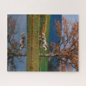 Bob Langrish | Twee warmbloedige pannen van het me Legpuzzel (Horizontaal)