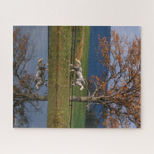 Bob Langrish | Twee warmbloedige pannen van het me Legpuzzel (Horizontaal)