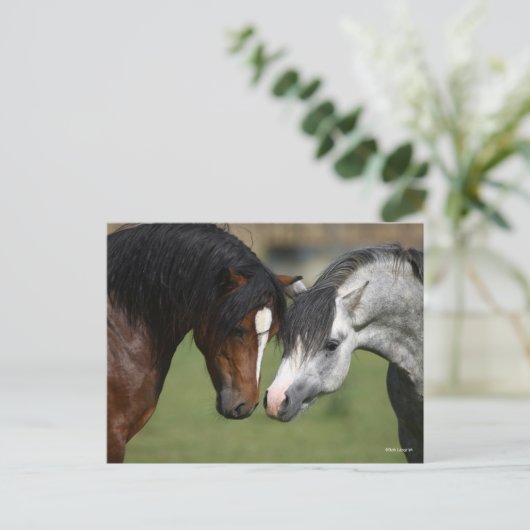 Bob Langrish | Twee Welsh Ponies Meeting Briefkaart (Staand voorkant)