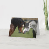 Bob Langrish | Twee Welsh Ponies Meeting Kaart (Voorkant)