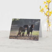 Bob Langrish | Twee zigeunerventilatoren met achte Kaart (Gele Bloem)