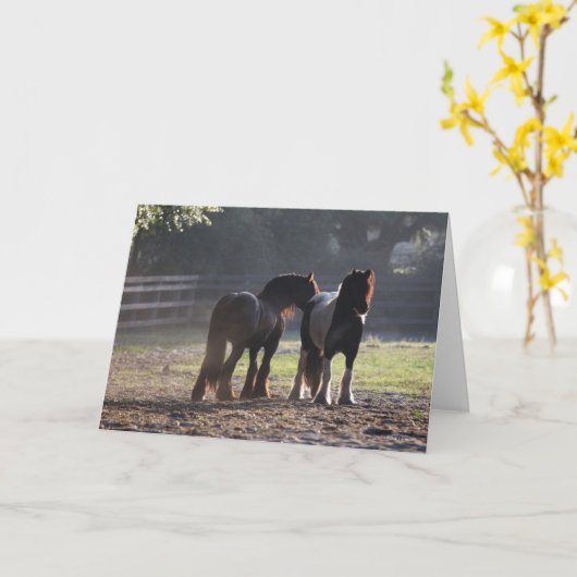 Bob Langrish | Twee zigeunerventilatoren met achte Kaart (Gele Bloem)