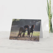 Bob Langrish | Twee zigeunerventilatoren met achte Kaart (Voorkant)