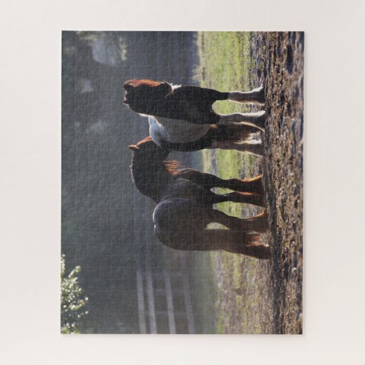 Bob Langrish | Twee zigeunerventilatoren met achte Legpuzzel (Verticaal)