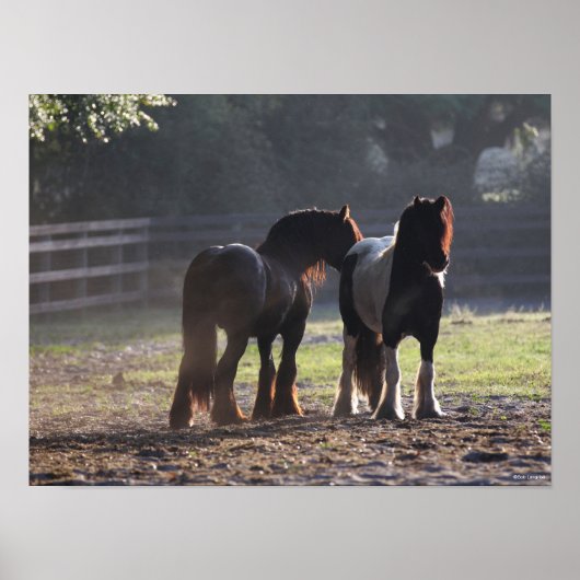 Bob Langrish | Twee zigeunerventilatoren met achte Poster (Voorkant)